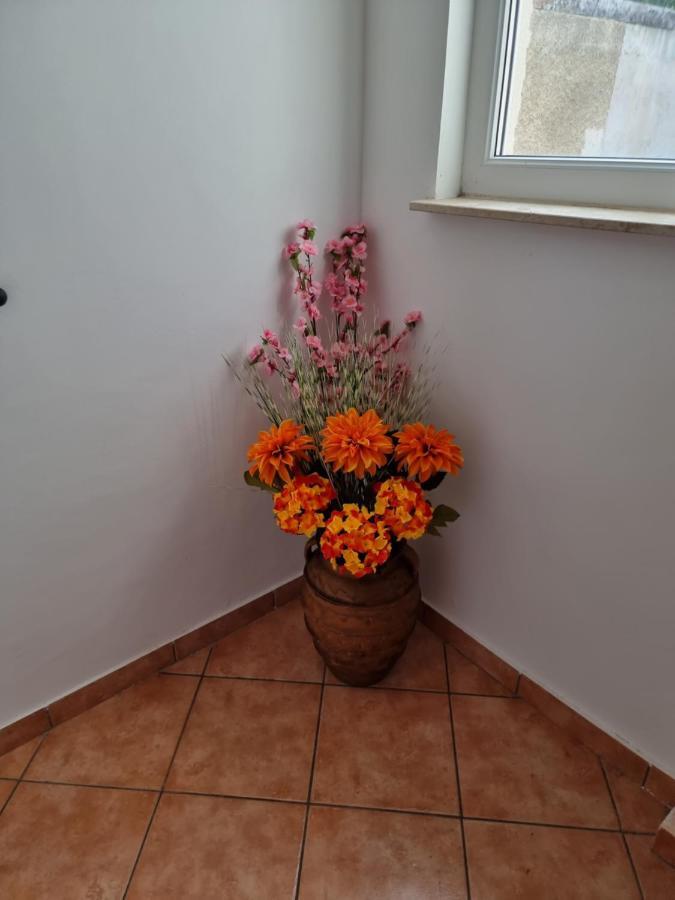 Apartments Katarina Šmrika Extérieur photo
